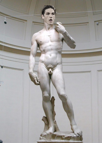 david-di-michelangelo2-696x972.png.f8d5a40a8720a16ef0c7ec3c26d6702e.png.da73ead7c2b98ff729f257bed06d6745.png