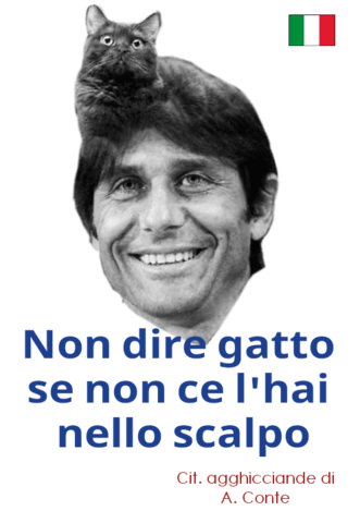 snap_Lagonio_1466224881066.png.e267463d43172b11e1c3e4a783bc3741.png