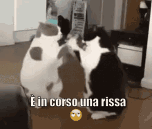 brawl-fist-fight.gif.e1540511a0c834cb9fd7a573c9aabeb8.gif