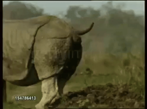 ezgif-2e7ceaf13a7084.gif.a92da284cd624ea7f705a861c137b12b.gif