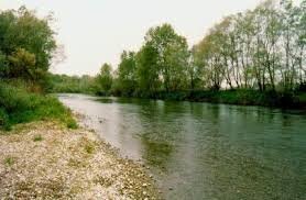1209644297_Senzatitolo.jpg.7b7a5533d4bd4e2b6b8fde68fd121269.jpg