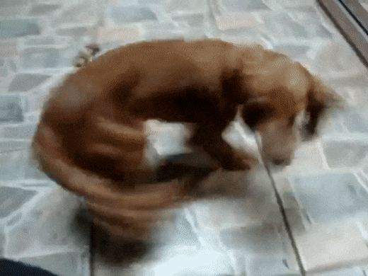 17601610721678769417237940197346.gif.1aa410f92e6e5d0b817a60fb6704098d.gif