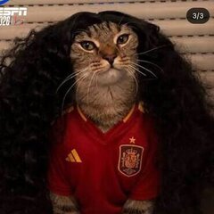 Longcat